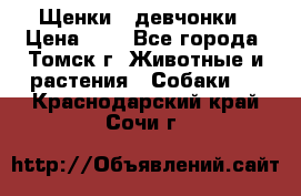 Щенки - девчонки › Цена ­ 2 - Все города, Томск г. Животные и растения » Собаки   . Краснодарский край,Сочи г.